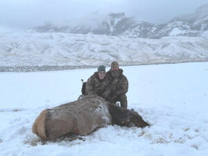 Brady and Todd -elk