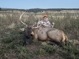 Monica Spaeni - Elk