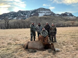 Emerson Bishop - elk