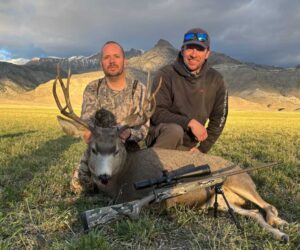 Forest Sawn - Deer 2025