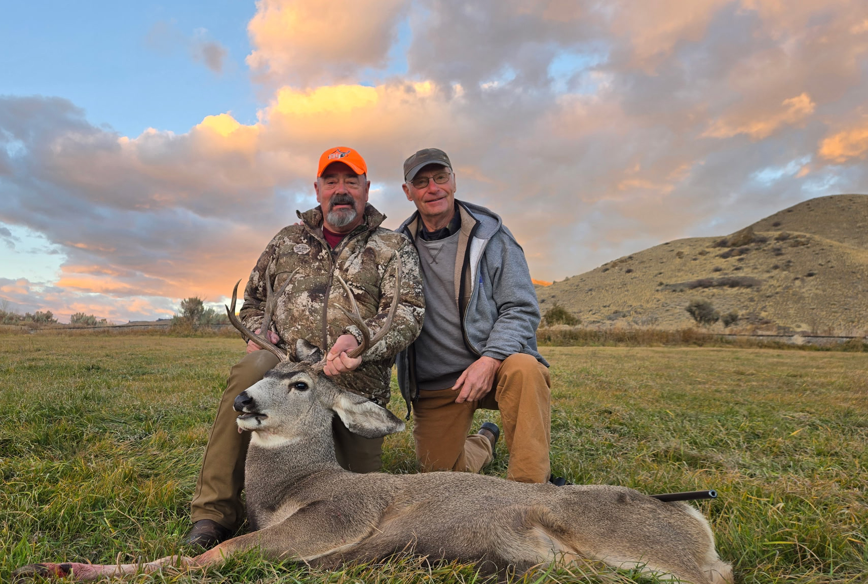 Michael Woodcock - Deer