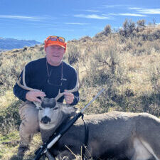 Jody Pilaro- Deer 2025