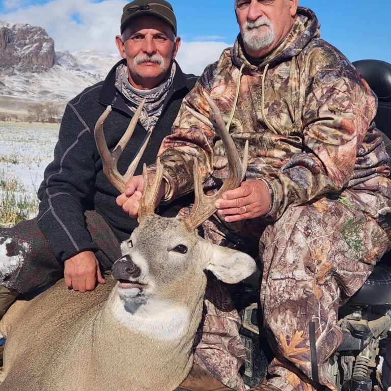 Deer Hunt Photo