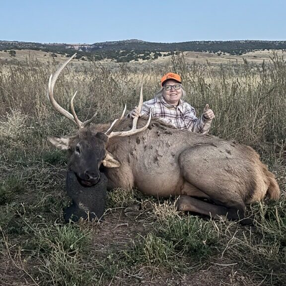 Monica Spaeni - Elk